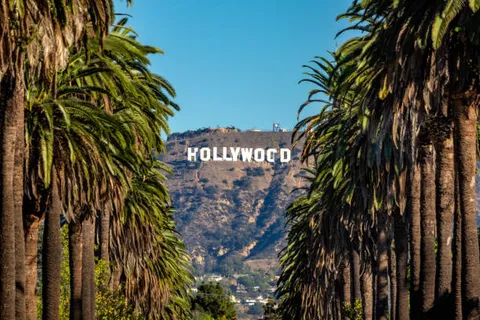 The Hollywood Sign seen through a row of tall palm trees on a clear blue-sky day in Los Angeles